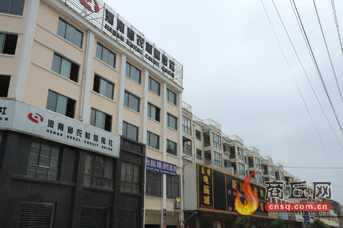 民权县龙塘镇:龙腾虎跃气象新